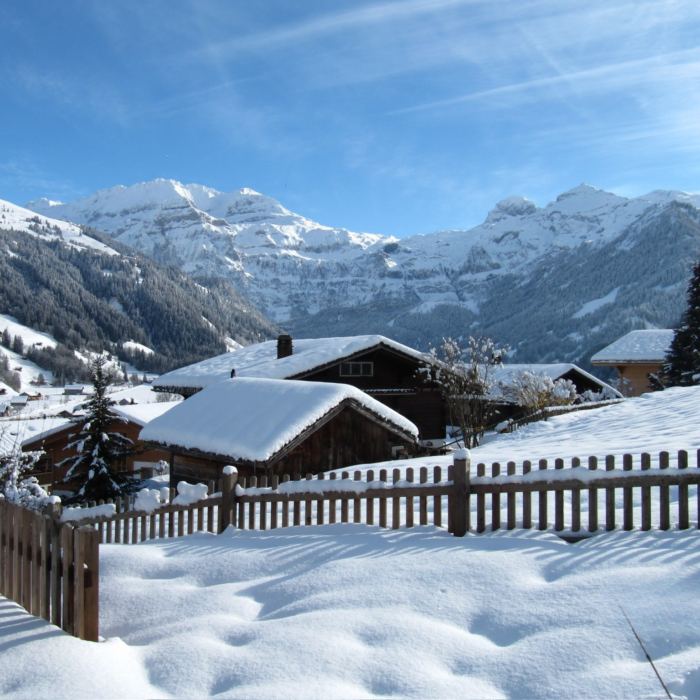 Aussicht Chalet Leonore