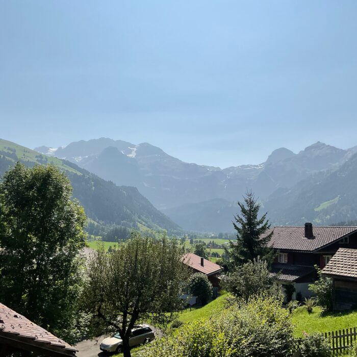 Aussicht Chalet Leonore